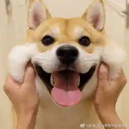 深海西西弗斯与俄狄浦斯的微博微博