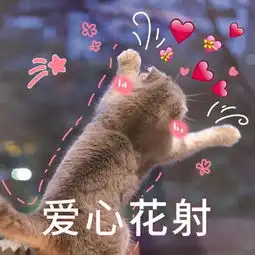 新生指南一室两学和三餐四季