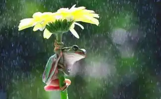 一场秋雨,无限欢喜星之梦教育博客的博客