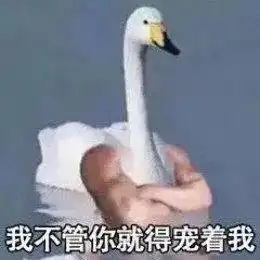 表情包行业竞争太激烈了什么鸡鸭鹅都来了