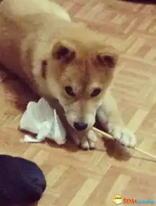 欢迎来看每日搞笑图开启逗比模式让欢乐伴你行