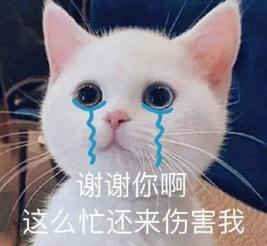 又一名百万粉丝网红被抓知法犯法还不止一次