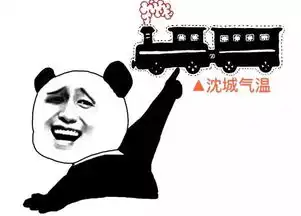 天气丨最高温直冲20沈城气温一路上升,不做百变大姑娘