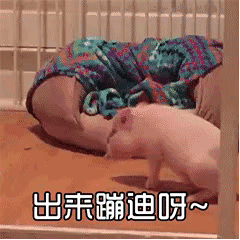可爱猪猪表情包对方不想理你并转了个圈