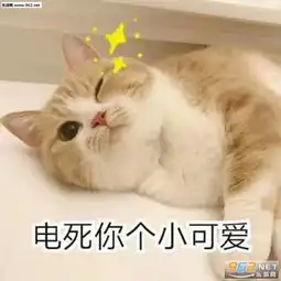 有吃的吗请问可爱表情包电死你个小可爱喵咪表情包下载乐游网游戏下载