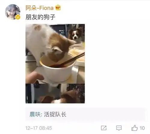 我把领导p成表情包,然后不小心发到了工作群,我会不会死