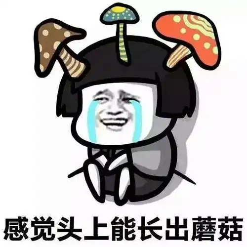 东莞人zui怕的回南天来了新一波冷空气明天到货,湿冷阴雨双重暴击