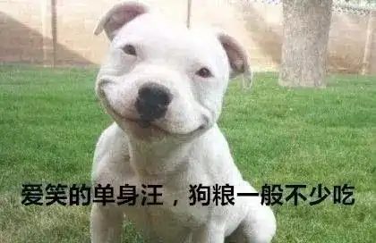 光棍节适合单身汪一人食的这11家店,去过的都成了孤独的美食家