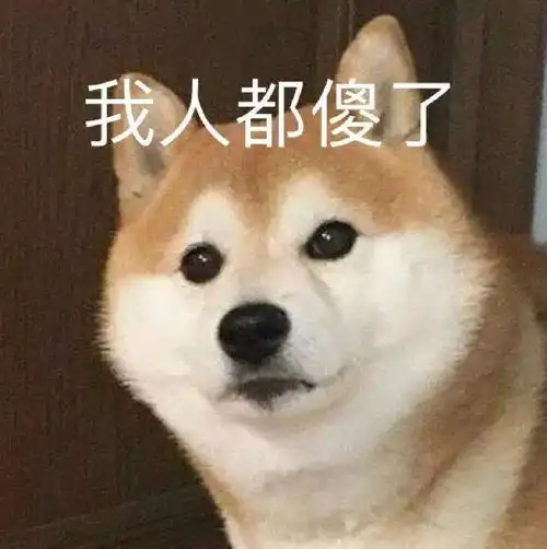 表情包乖巧
