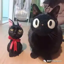 网友用黑猫吉吉玩偶和爱猫换脸.....总感觉哪里怪怪的.....