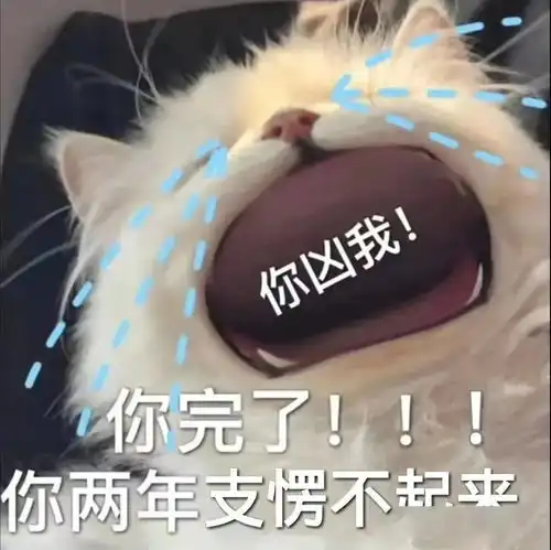 抖音热门搞笑表情包