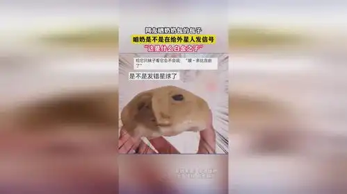 网友晒奶奶包的包子,咱奶是不是在给外星人发信号,这是什么白金之子