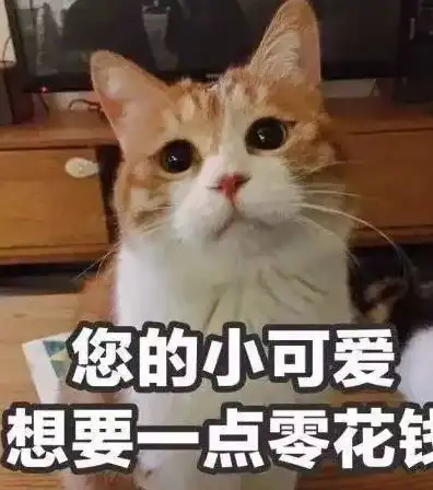 幽默图片搞笑段子大家是怎么问父母要生活费的有啥硬核方法
