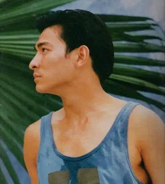 刘德华外表风光,遍体鳞伤