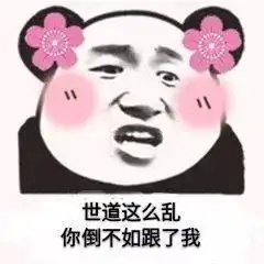 今日份搞笑熊猫头表情包