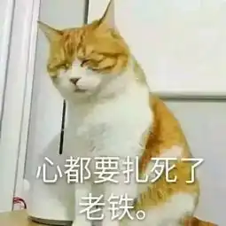 e句话看天下丨张柏芝最近存在感好高啊