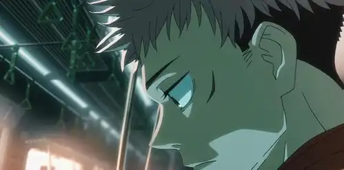 咒术回战动画版,伏黑惠打开方式不对,虎杖悠仁接收方式也不对