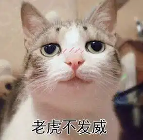 气到想跳脚,胖子竟然对瘦子提出这么蠢的问题