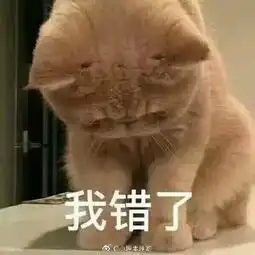沙雕表情我虽然错了,但是原谅我就是你的问题