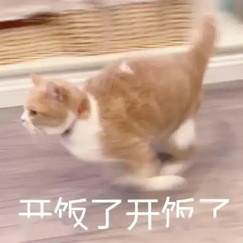 996是在拿命换钱熬夜加班伤身,有啥方法能补回来