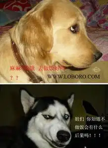 傻缺二货哈士奇搞笑萌图