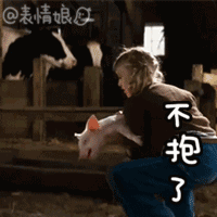 哪个粉丝要动态小猪的表情