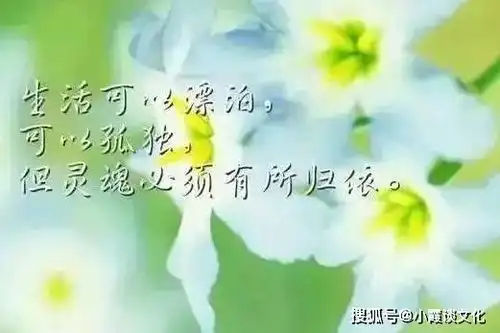 三观很正的心情短句,都是心灵鸡汤,你喜欢哪一句
