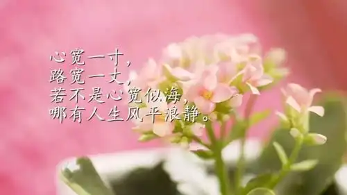 正能量心态早安经典语录感悟人生精辟短句