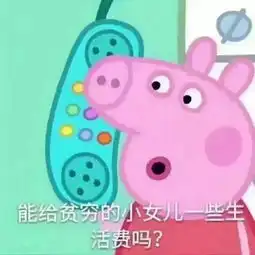 2017年度表情包大赏小猪佩奇,假笑boy,边缘试探.你用得最多的是...