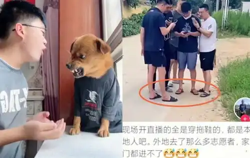 小胖科学家没虐狗被扒请亲戚直播洗白,却将外地志愿者拒之门外