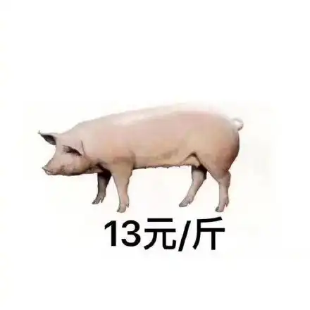 中国第一困第一中国表情