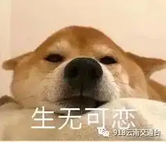 催婚到绝望,女子高速路上痛哭...