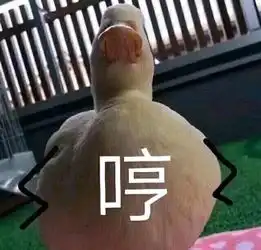 可爱感100女生夏日一定要买的8双球鞋