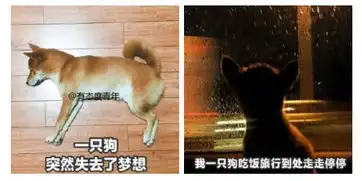 情侣间聊天截图能刺激到什么程度