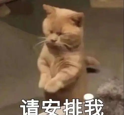 爆笑段子遇见个实习护士,又不好意思说疼,打了二十多针