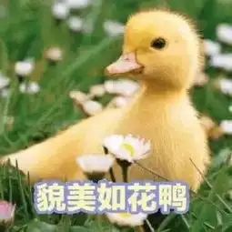 抖音女神脱离滤镜后纷纷变乡村大妈,就连闺蜜团的脸也是假的