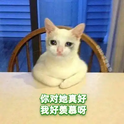 哈哈哈哈