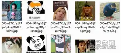 是谁掐住了我命运的后颈皮表情包是谁掐住了我命运的后颈皮搞笑图片v1709无水印版软件下载