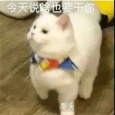 值得收藏的热门聊天表情大全