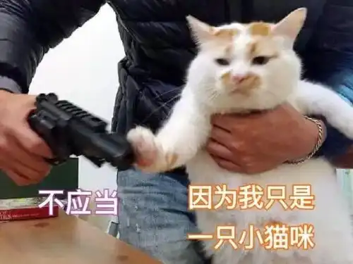 游戏不会毁掉孩子的童年,我们的盲目和漠视才会
