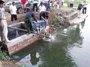 分享快乐河北合众车友会钓鱼比赛照片