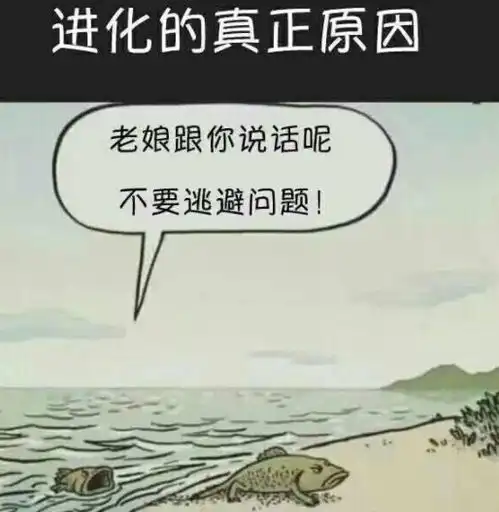 搞笑图片幽默段子笑话妹子,你宿舍的蚊子一定很多吧
