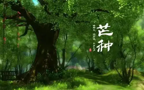 芒种到,仲夏始,注意防暑降温
