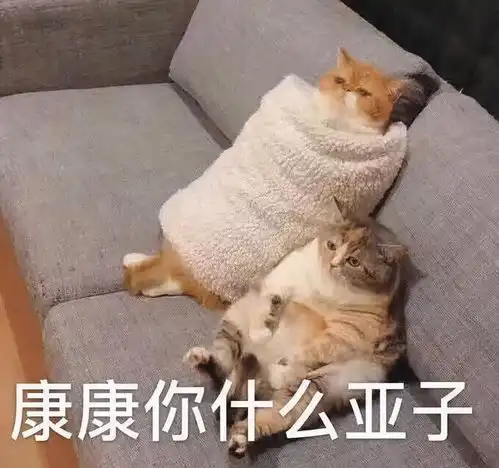 愿意做我女朋友吗不被其他女友发现的那种哈哈哈做梦呢