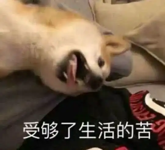 今日份沙雕表情包i我爱你你听见没