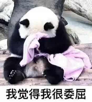 急skr人出生一年还没名字都江堰四只滚滚等你来取名