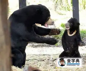孩子,你不认得你的亲搞笑图片