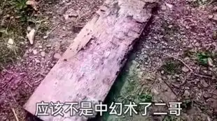 测试一个超长简介的文章
