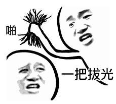 大家一起来拔毛