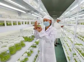 安徽淮北一座传统工业城市的转型崛起纪实